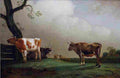 pot The Prairie Art A4 Photo Print