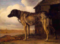 pot Wolf Hound Art A4 Photo Print
