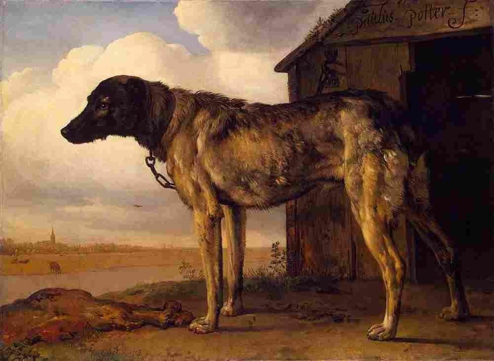 pot Wolf Hound Art A4 Photo Print