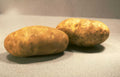 potatoes countertop texture Vintage A4 Photo Print