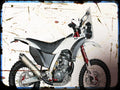 pr7 AJP A4 Photo Print Motorbike Vintage Aged