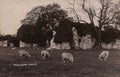 priory ruins lewesVintage 1880s 1900s A4 Photo Print