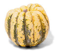 pumpkin wintergate speckled1980s 1990s A4 Photo Print