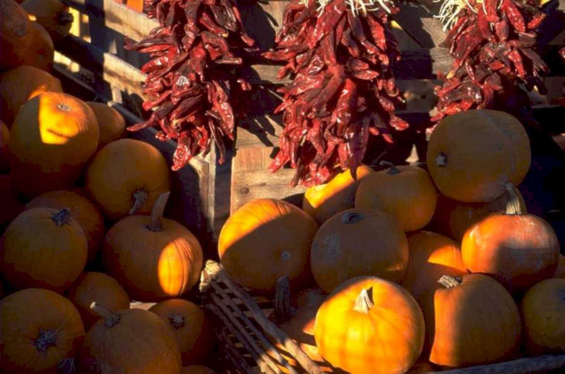 pumpkins chili peppers 1980s 1990s A4 Photo Print