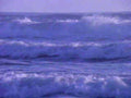 purple ocean waves1980s 1990s A4 Photo Print