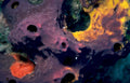 purple sponge holes Vintage A4 Photo Print