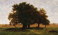 qakgrove Art A4 Photo Print