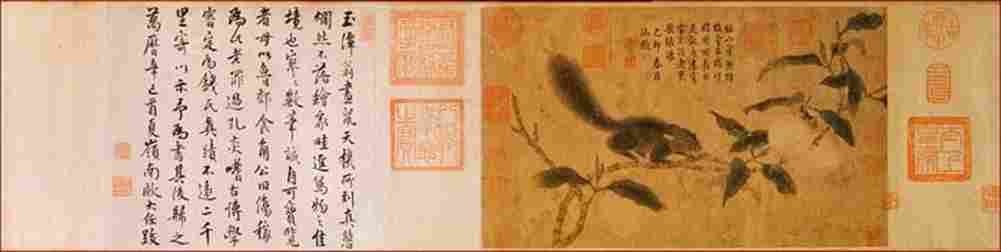 qian xuan Sqirrel Art A4 Photo Print
