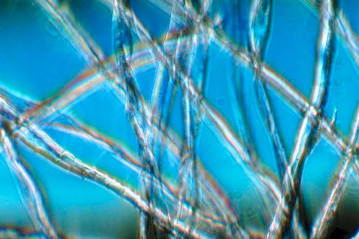 quartz crystal fibers1980s 1990s A4 Photo Print