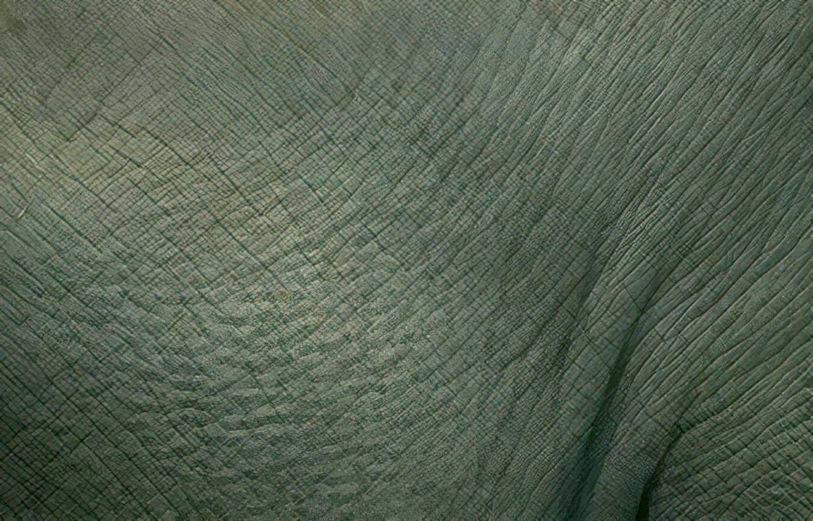 quiltedgreenfabric texture 01 Vintage A4 Photo Print