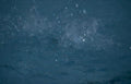rain drops ice Vintage A4 Photo Print