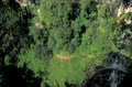 rainforest valley river 1980s 1990s A4 Photo Print