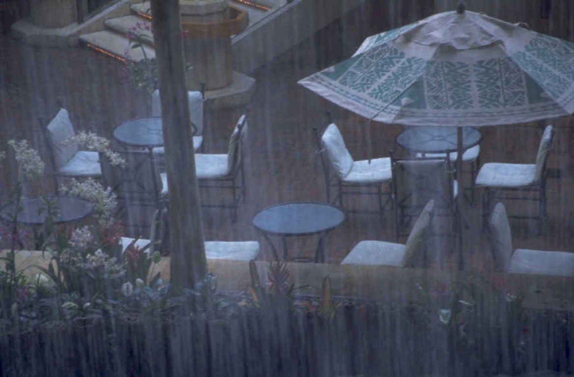 rainy cafe umbrellas 1980s 1990s A4 Photo Print