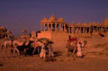 rajasthan camels sunset 1980s 1990s A4 Photo Print