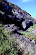 rapa moai statue1980s 1990s A4 Photo Print