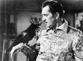 raven 1963 05 film star poster A4 Photo Print