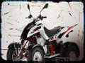 reactor 450 Triton A4 Photo Print Motorbike Vintage Aged