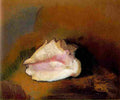 red Seashell red Art A4 Photo Print