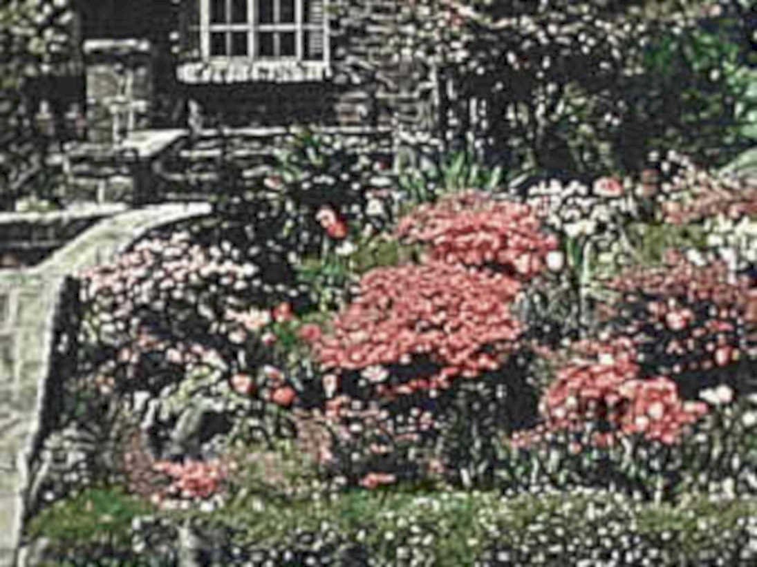 red flowers garden1980s 1990s A4 Photo Print