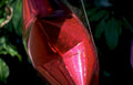 red heart ornament Vintage A4 Photo Print