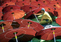 red paper umbrellas1980s 1990s A4 Photo Print