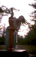 red pump well Vintage A4 Photo Print