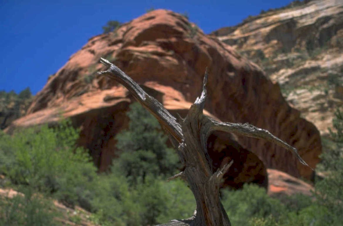 red rock bellrock 1980s 1990s A4 Photo Print 42