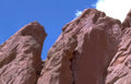 red rock garden 2 Vintage A4 Photo Print