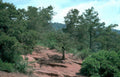 red rock trail Vintage A4 Photo Print
