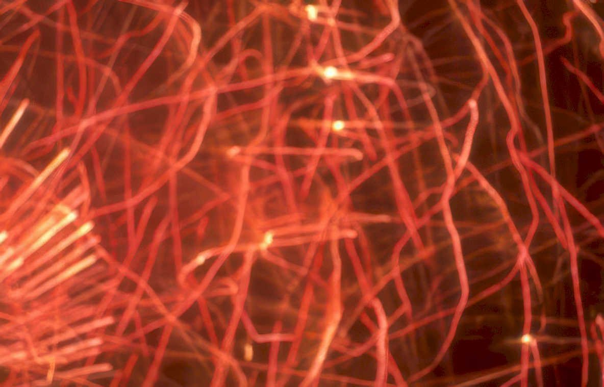 red yarn strands Vintage A4 Photo Print