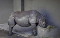 rhino concrete trough Vintage A4 Photo Print