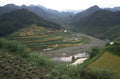 rice fields valley 1980s 1990s A4 Photo Print