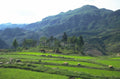 rice paddies mountains 1 1980s 1990s A4 Photo Print