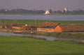 rice paddies sunrise 1980s 1990s A4 Photo Print