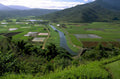 rice paddies valley 1980s 1990s A4 Photo Print