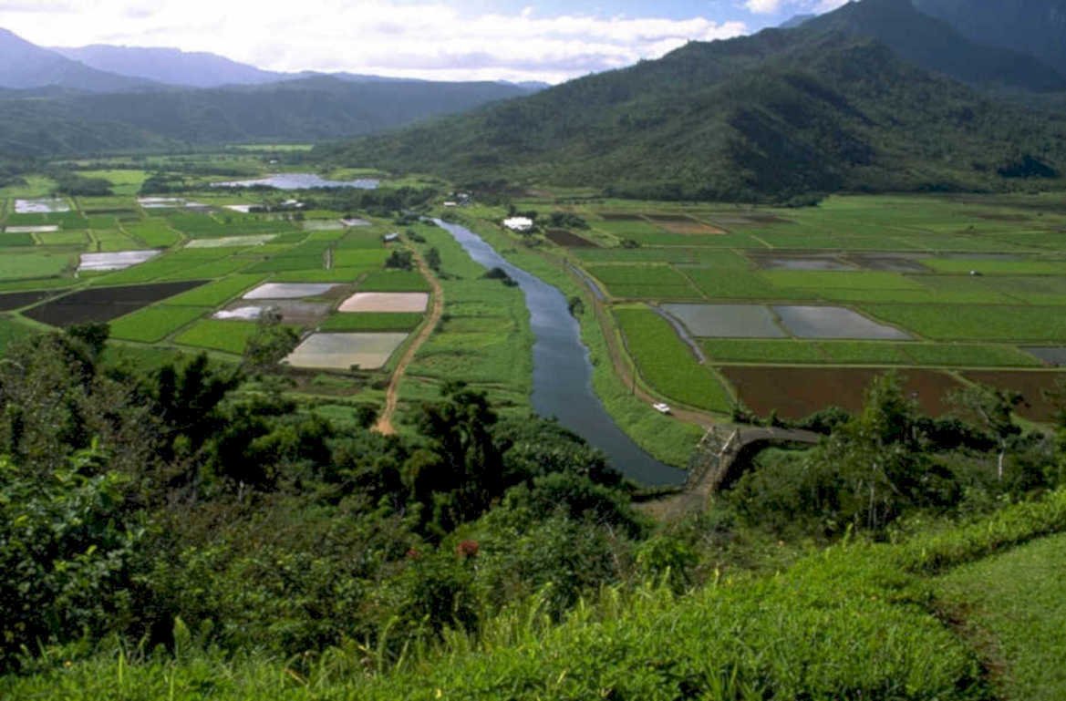 rice paddies valley 1980s 1990s A4 Photo Print