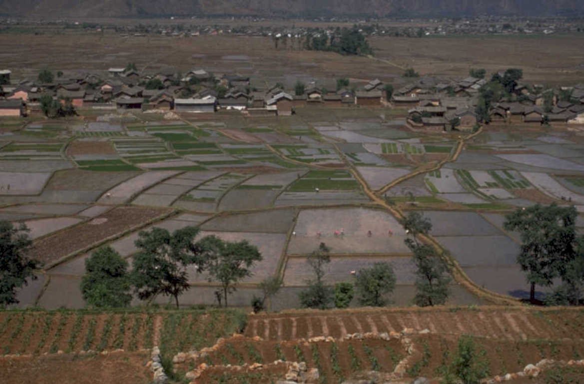 rice paddies village 1980s 1990s A4 Photo Print