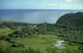 rice paddies village Vintage A4 Photo Print