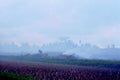 rice paddy burning1980s 1990s A4 Photo Print