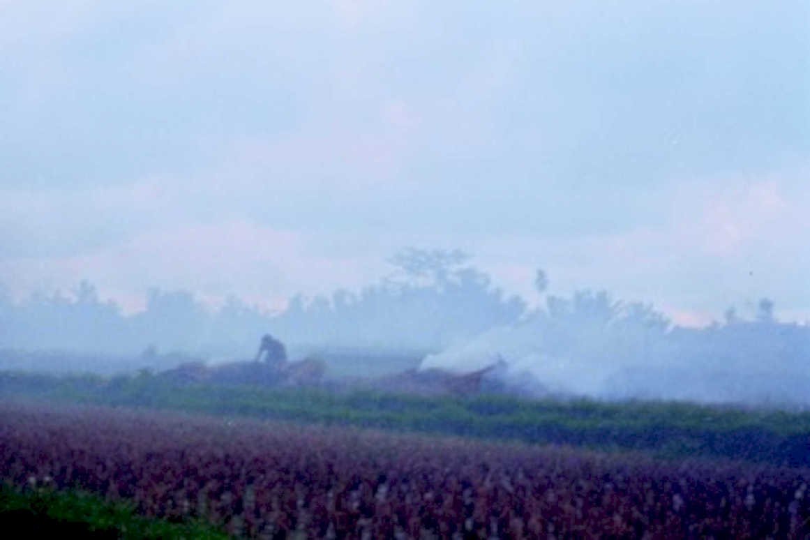 rice paddy burning1980s 1990s A4 Photo Print