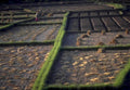 rice terraces banaue1980s 1990s A4 Photo Print