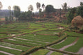 rice terraces china 2 1980s 1990s A4 Photo Print