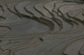 rice terraces dragon 1980s 1990s A4 Photo Print