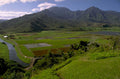 rice terraces maui 1980s 1990s A4 Photo Print