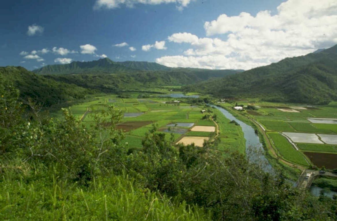rice terraces valley 1980s 1990s A4 Photo Print