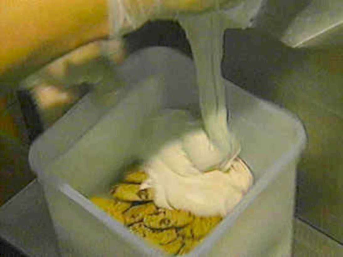 ricotta cheese production1980s 1990s A4 Photo Print