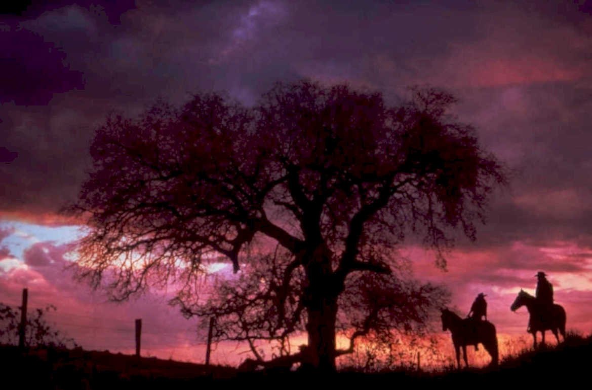 riders sunset tree 1980s 1990s A4 Photo Print