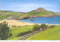 ring kerry bayVintage 1880s 1900s A4 Photo Print