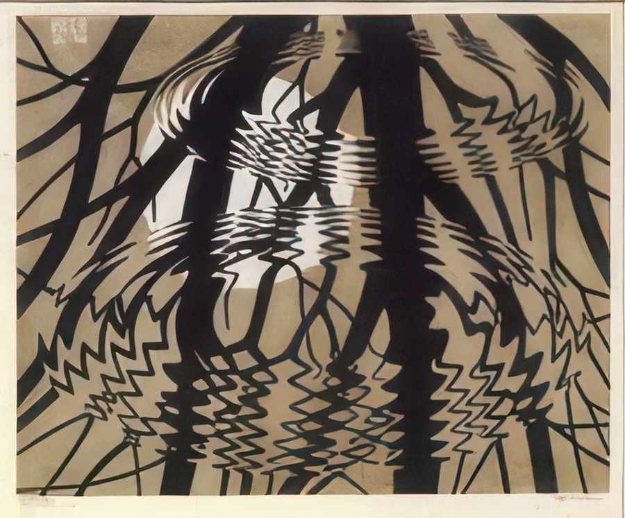 rippled surface colour mc escher 1950 A4 Photo Print