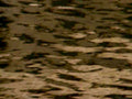 rippling water surface1980s 1990s A4 Photo Print